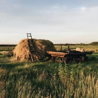 hayrides